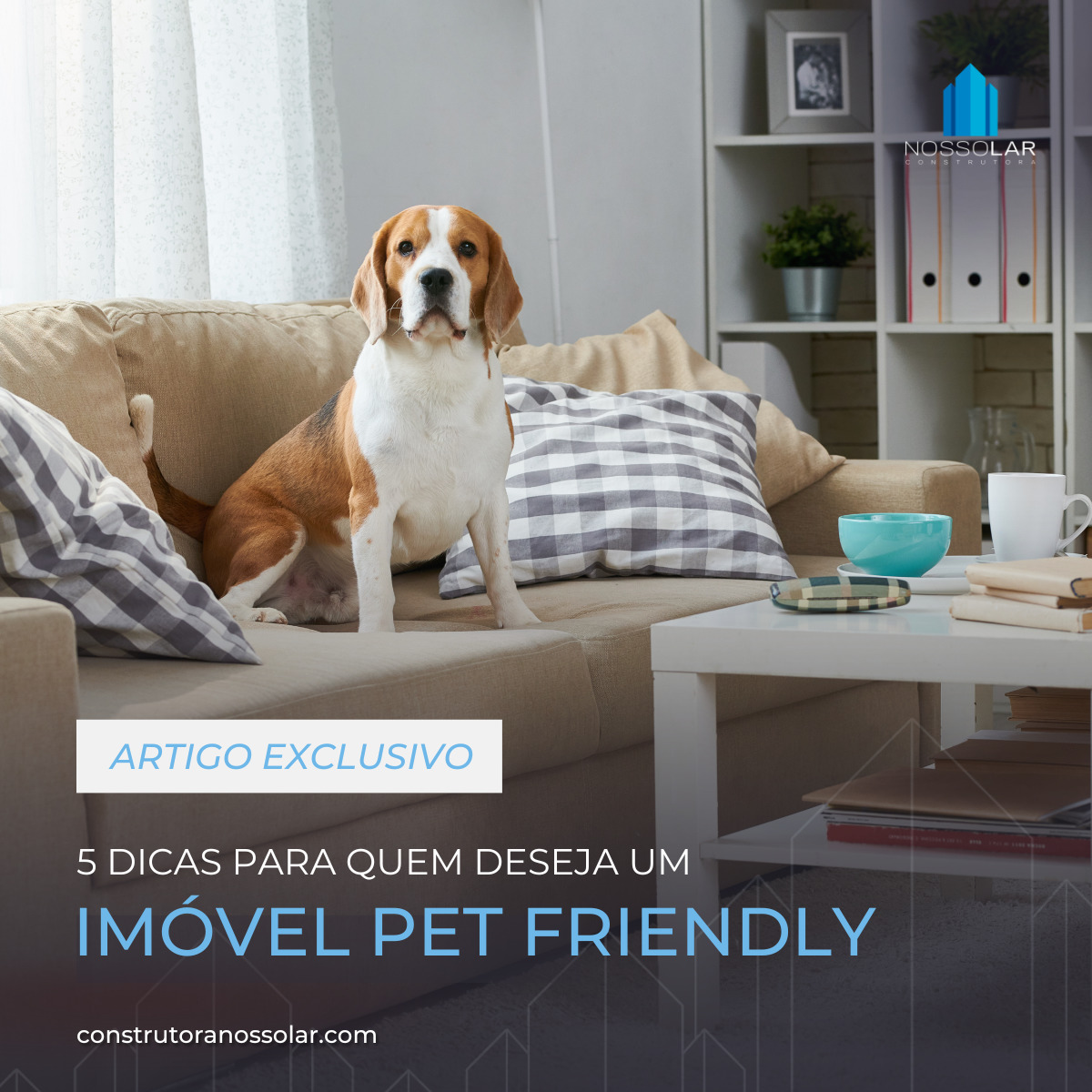 5 dicas para quem vive em imóveis pet friendly