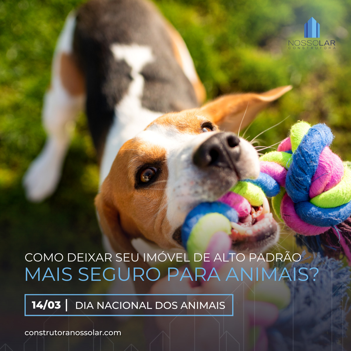 Como deixar seu imóvel de alto padrão seguro para os animais